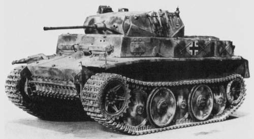 luchs.jpg