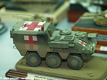 amt_torrent_08_114.jpg